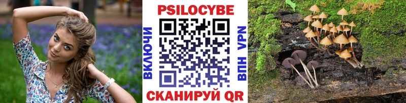 ссылка на мегу tor  Сегежа  Псилоцибиновые грибы мухоморы 